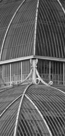 A section of the palm house